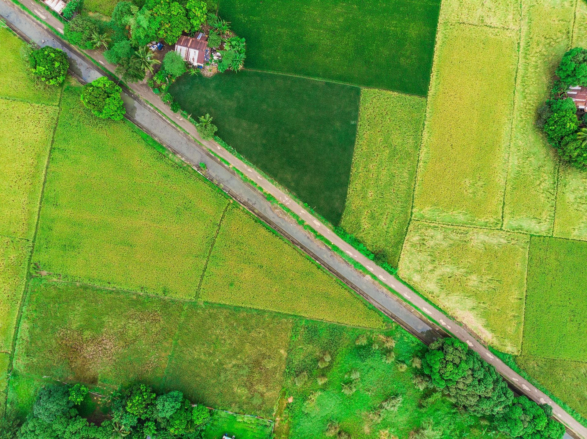 1. Tell Us About Your Property